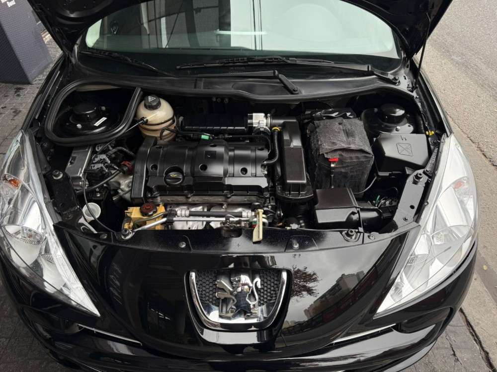 Peugeot 207 Xt — foto 13